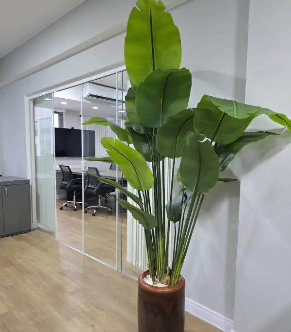 Planta ornamental diante das divisórias de vidro da sala de reuniões